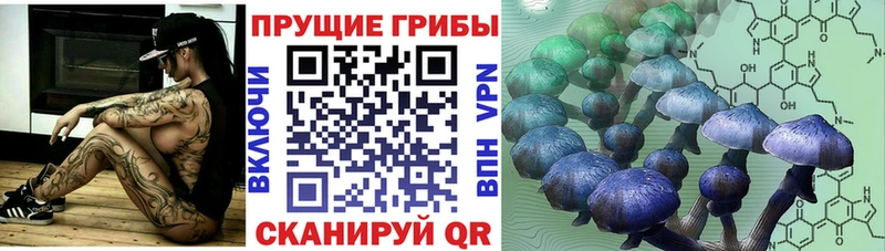 Галлюциногенные грибы GOLDEN TEACHER  продажа наркотиков  Вилючинск 
